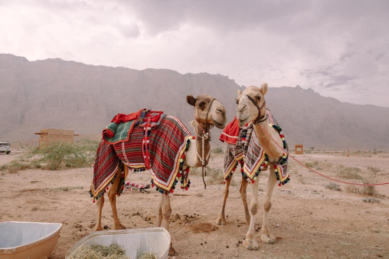 Pura Eco Retreat, Jebel Hafit Desert Park Al Ain Eksteriør bilde